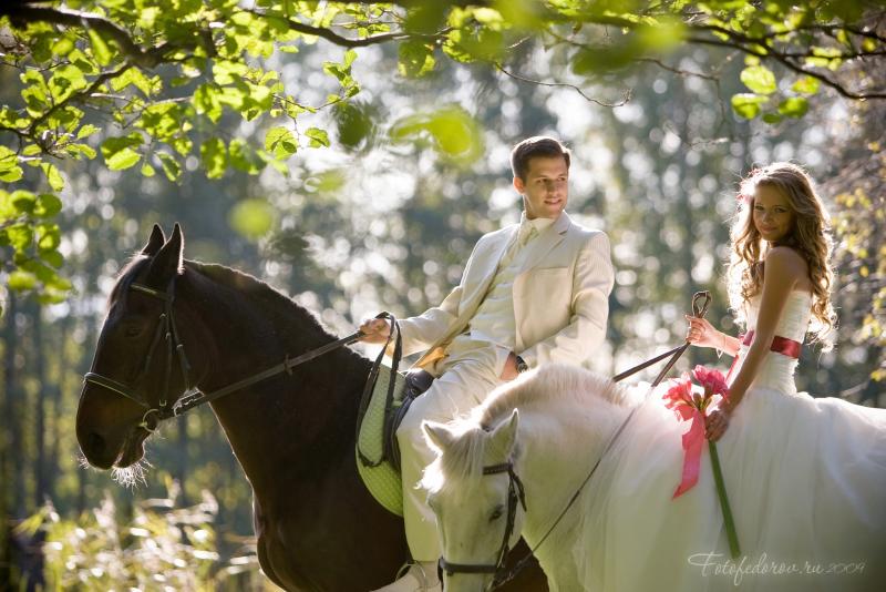 ������������� �����������