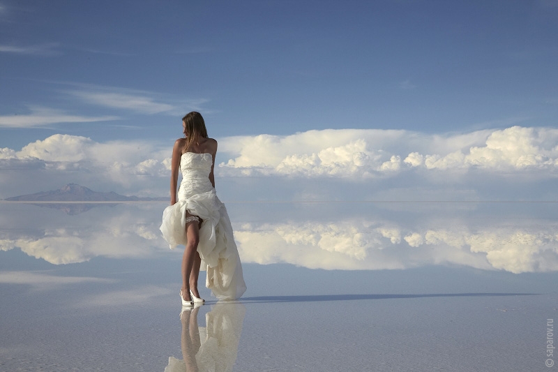 ������������� �����������