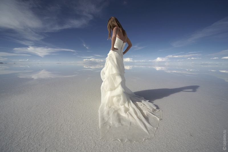 ������������� �����������